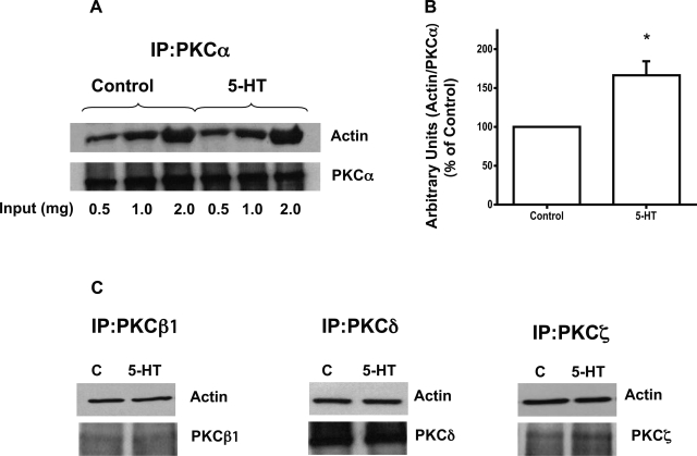 Fig. 8.