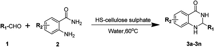 Scheme 2