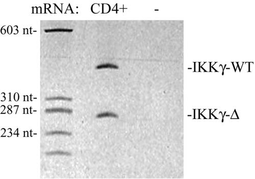 FIG. 10.