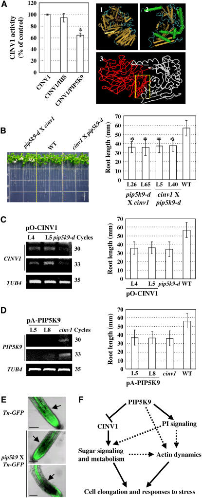 Figure 10.