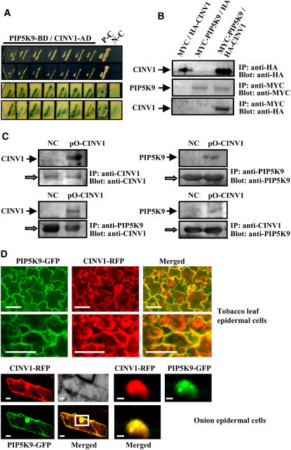 Figure 4.