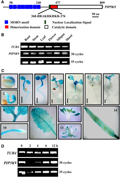 Figure 1.