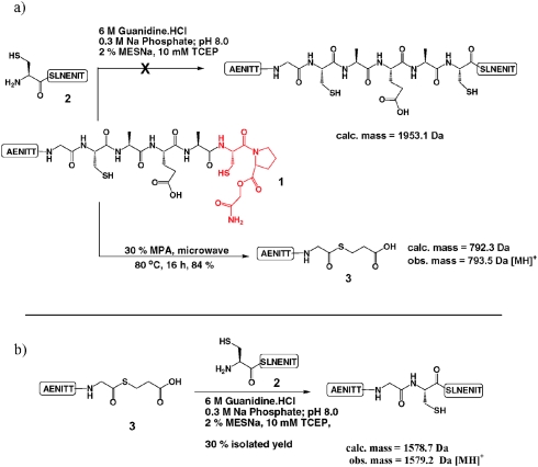 Scheme 2