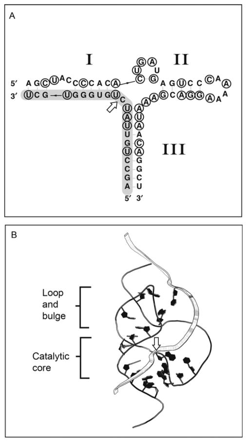 Figure 1.5