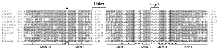 Figure 1.4