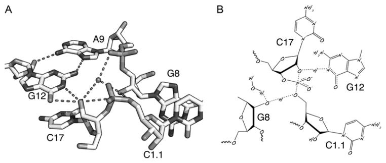 Figure 1.2