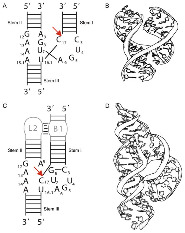 Figure 1.1