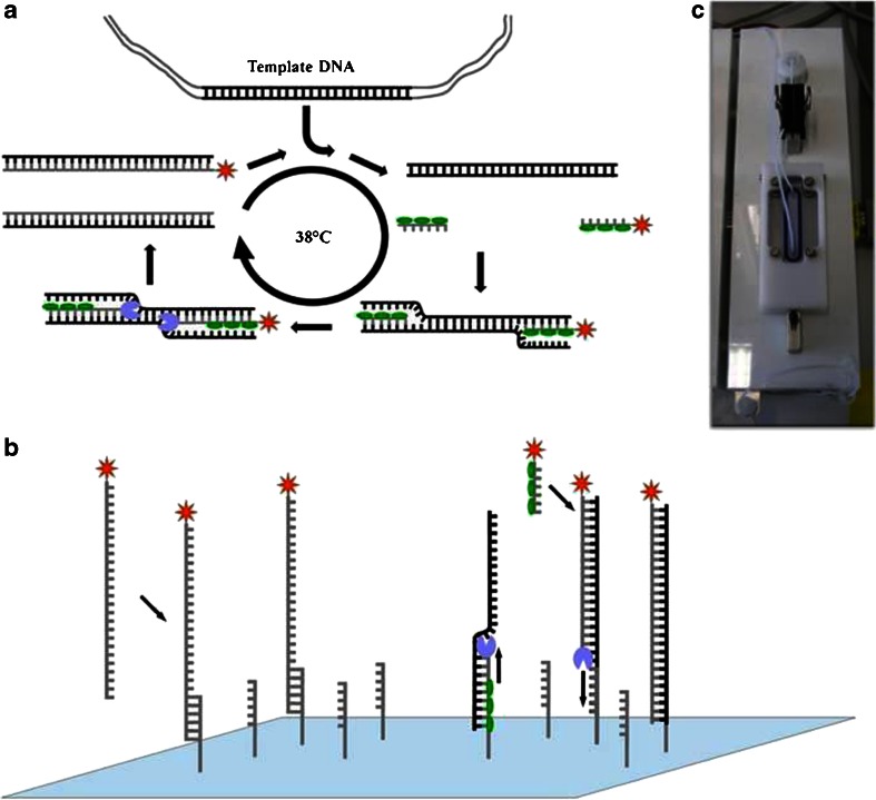 Fig. 2