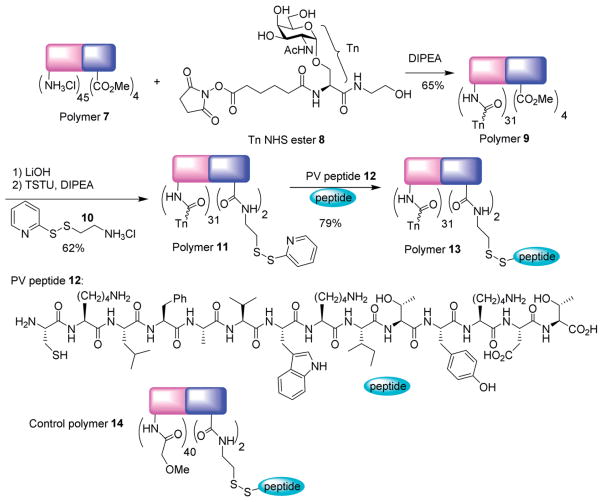 Scheme 2