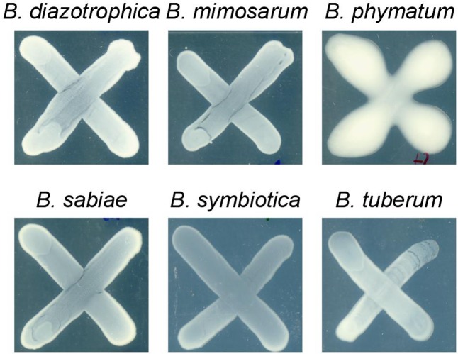 FIGURE 3