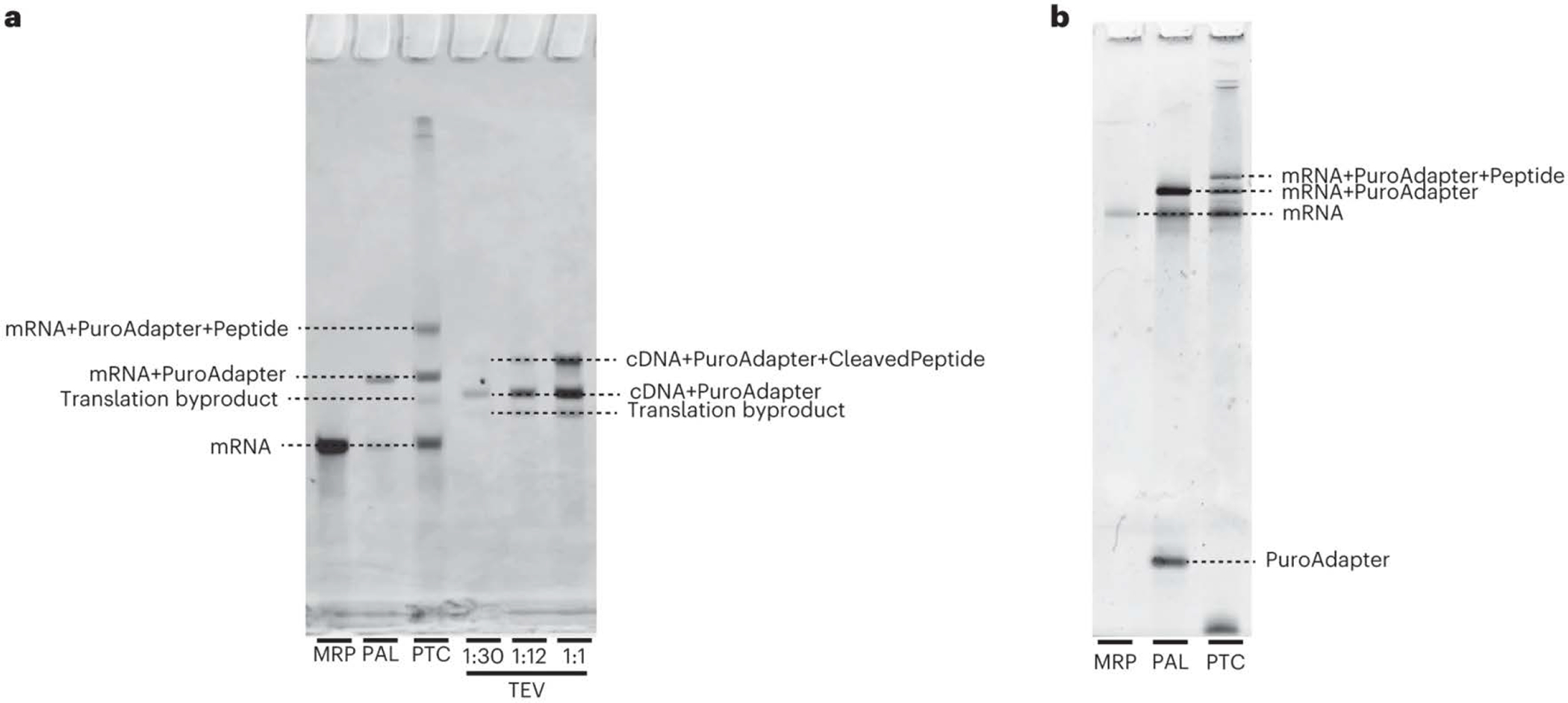 Fig. 6: