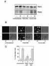 FIG.7.