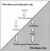 FIG. 8.
