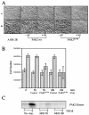 FIG. 6.
