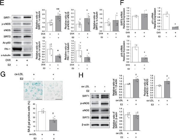 Fig. 2-2.