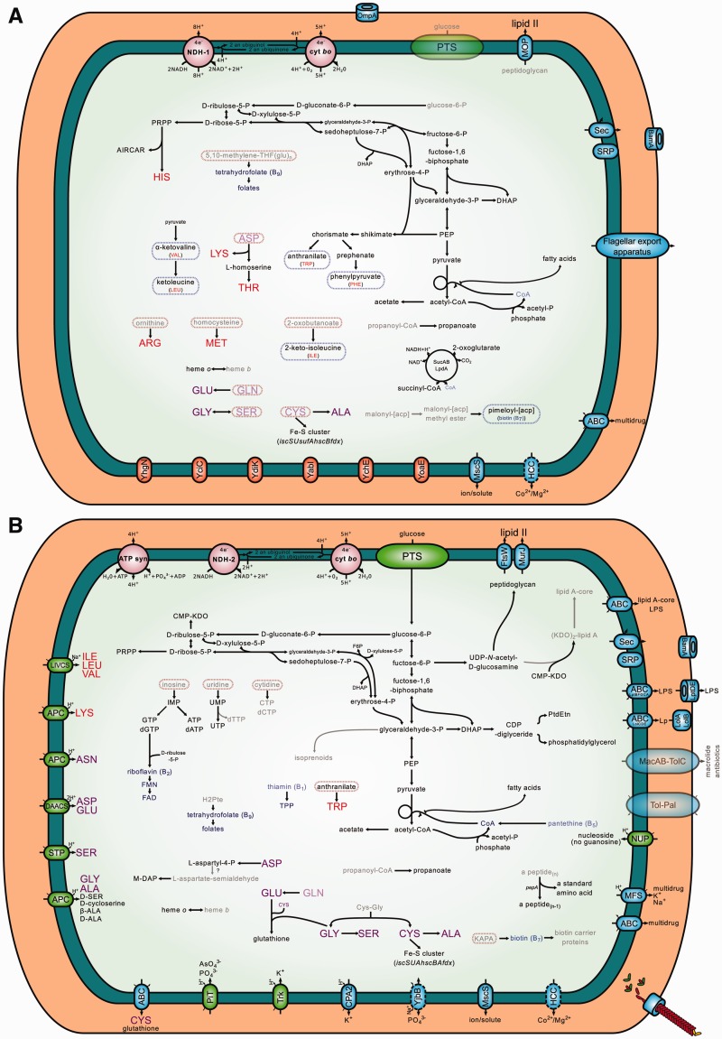 Fig. 4.—