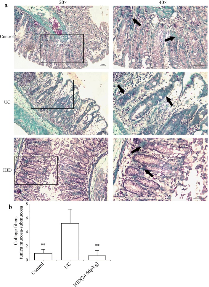 Fig. 6