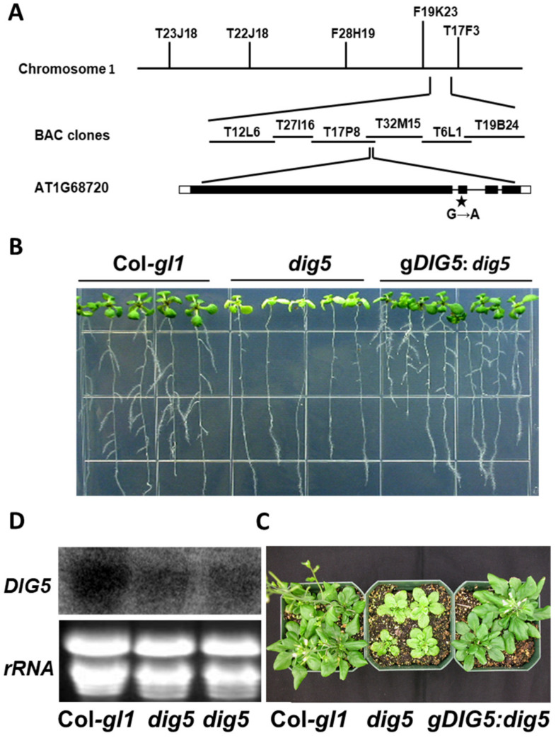 Figure 6