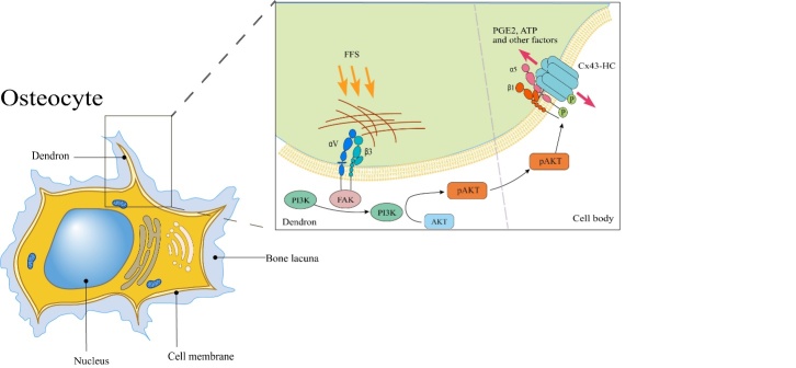 Figure 3.
