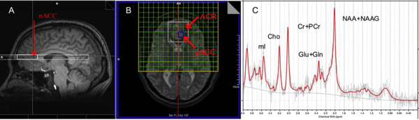 FIGURE 1.