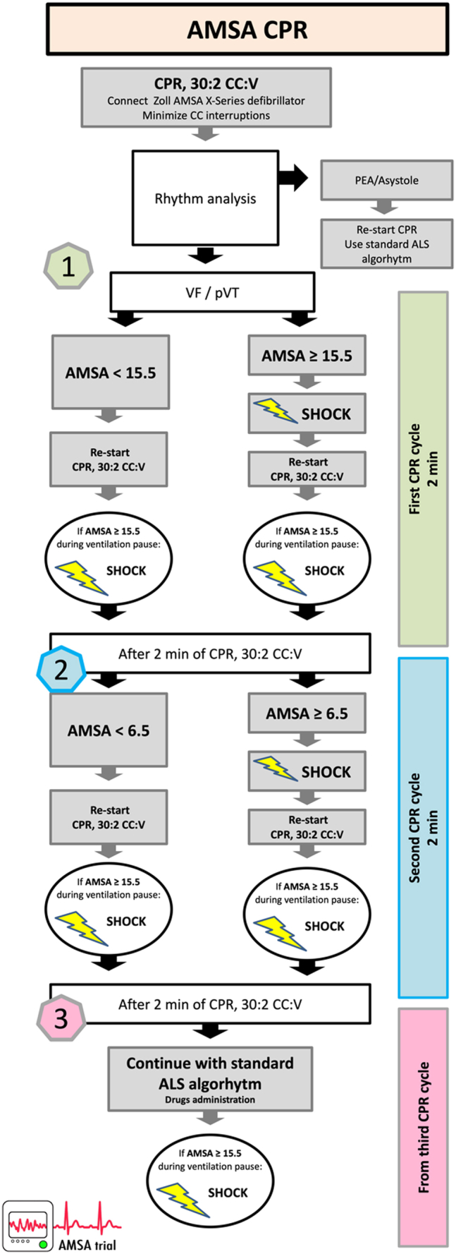 Fig. 1