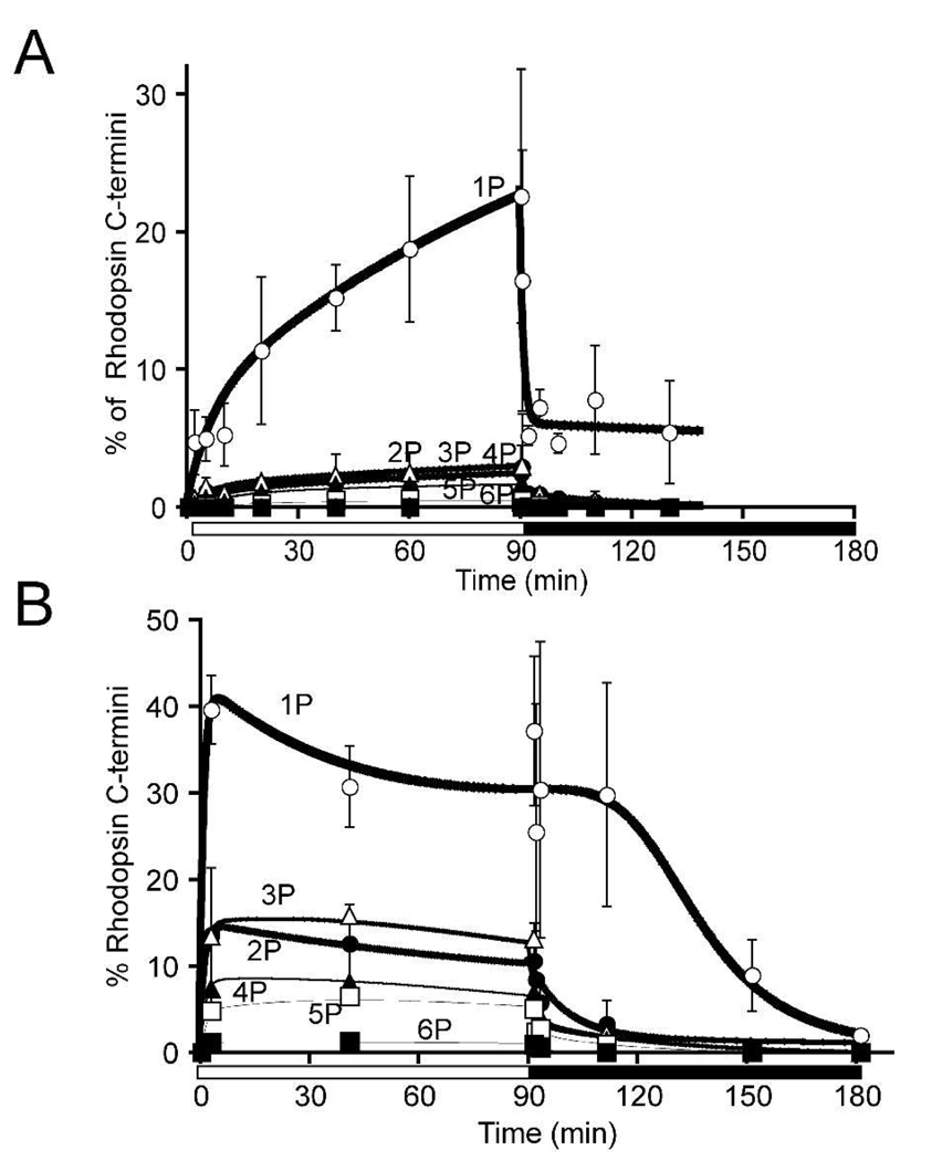 Fig. 5