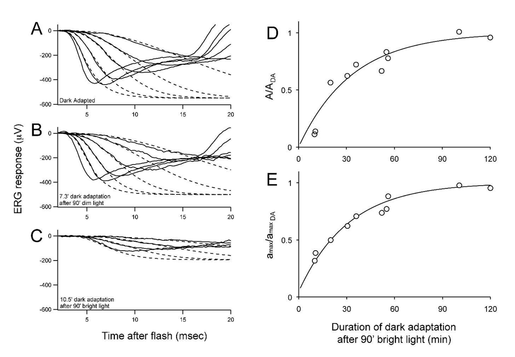 Fig. 7