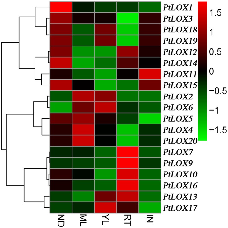 Fig 6