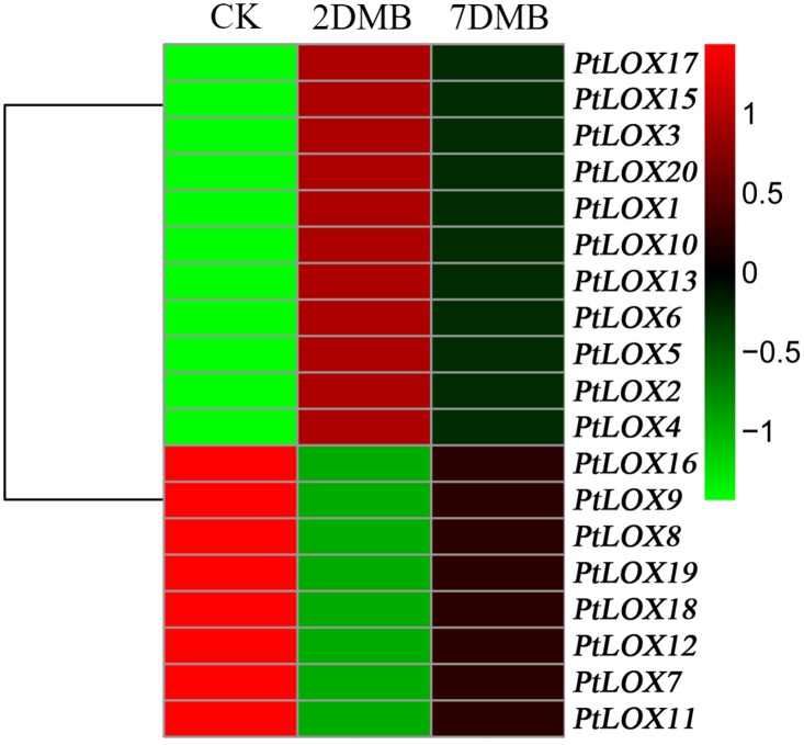 Fig 8