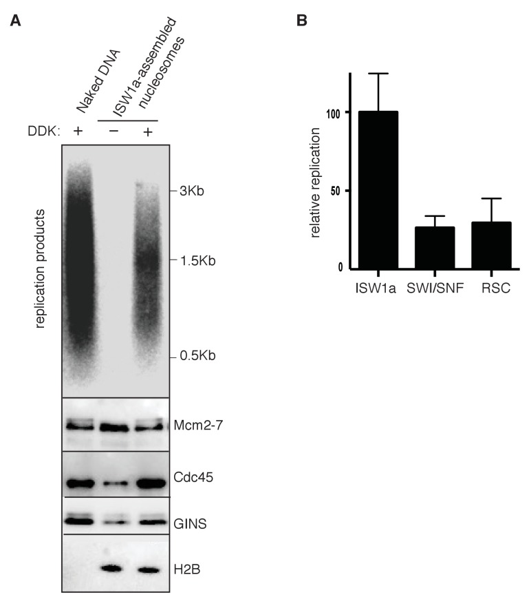 Figure 4—figure supplement 1.