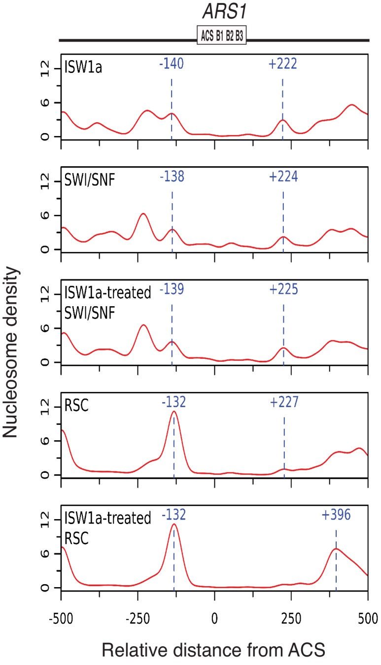 Figure 5—figure supplement 2.