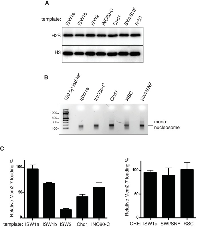 Figure 2—figure supplement 1.