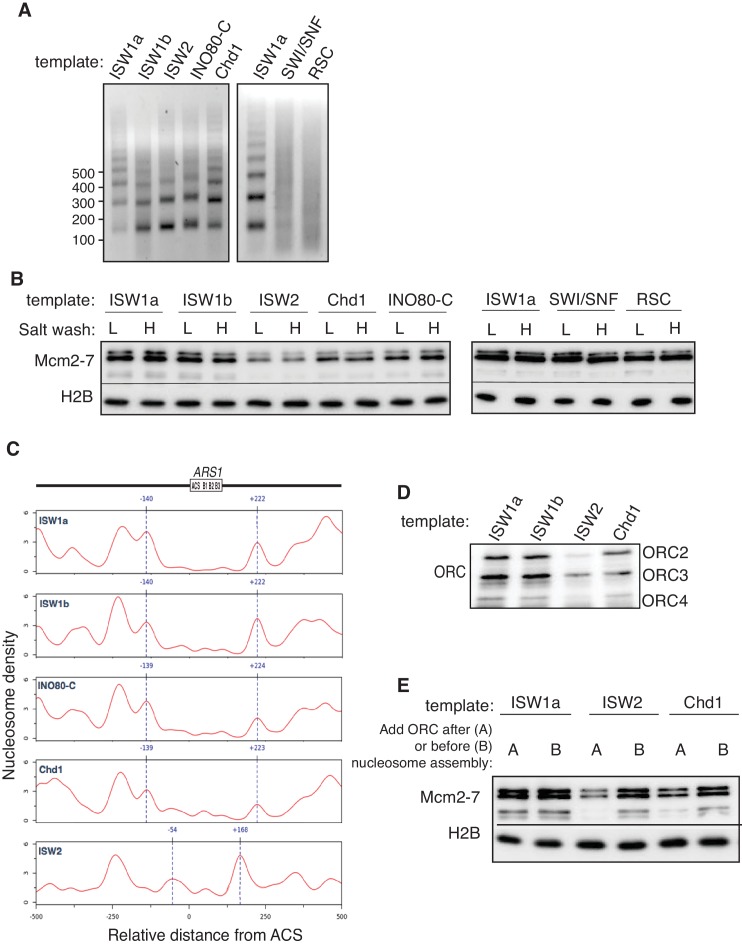 Figure 2.