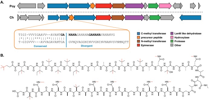 FIG 4