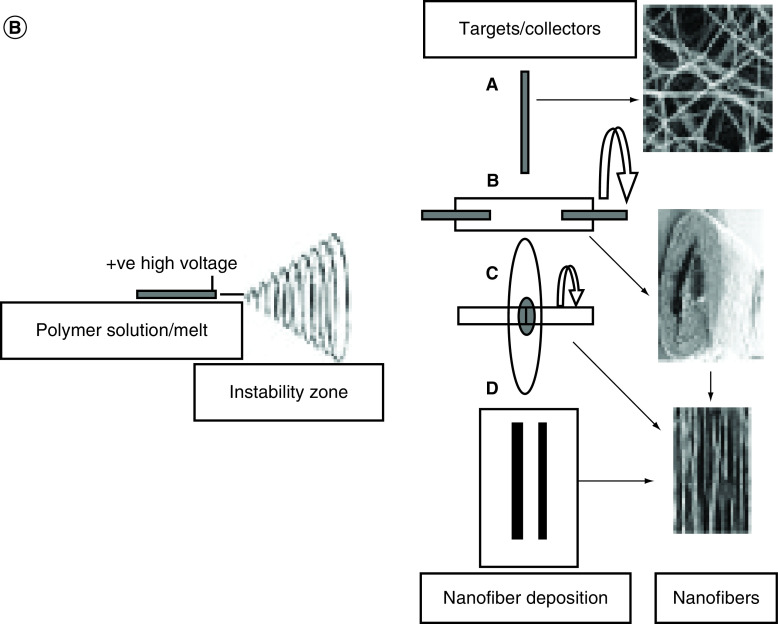 Figure 6. 