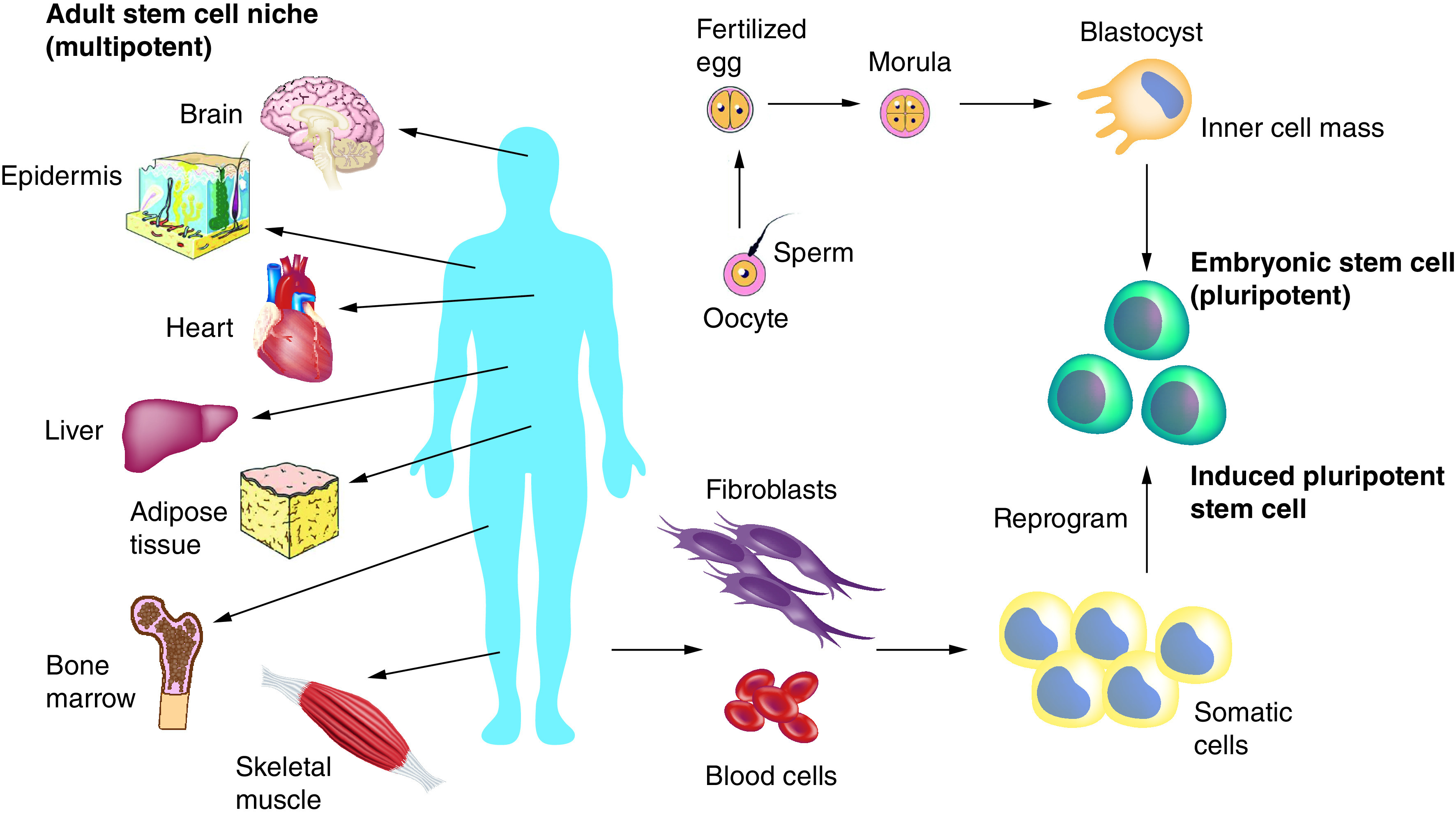 Figure 3. 