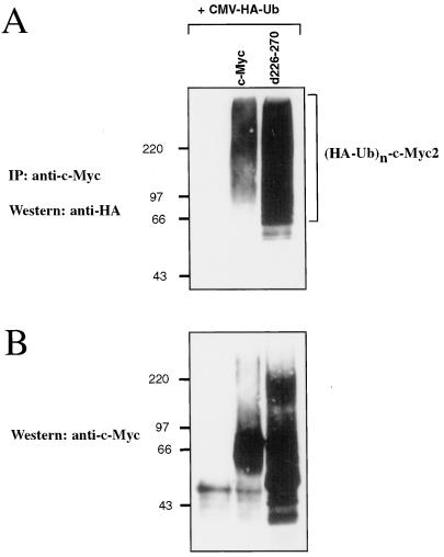 FIG. 5