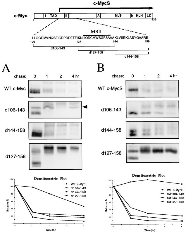 FIG. 6