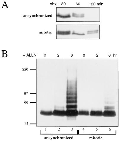 FIG. 8