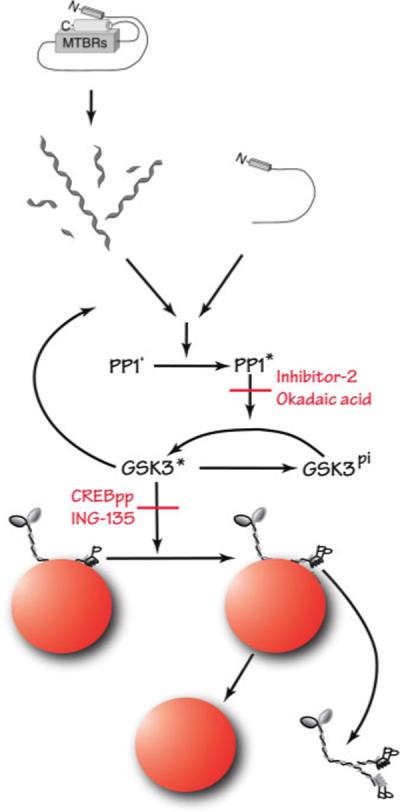 Fig. 10