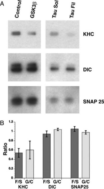 Fig. 8