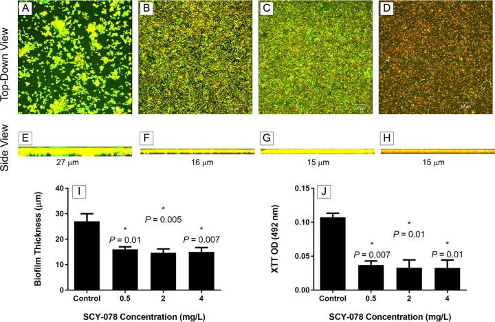 FIG 6