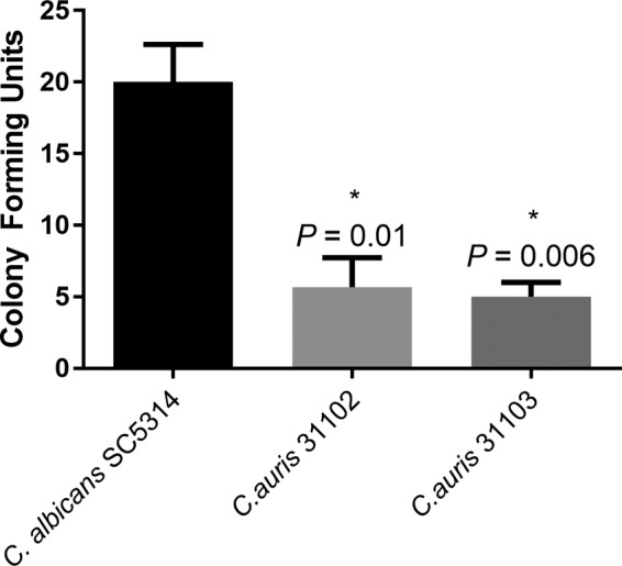 FIG 1