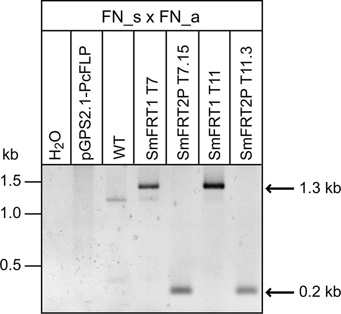 FIG. 6.