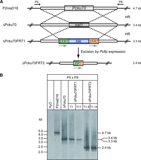 FIG. 4.