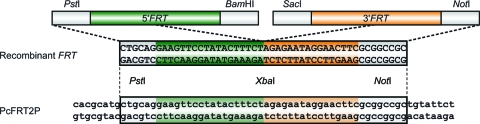 FIG. 3.