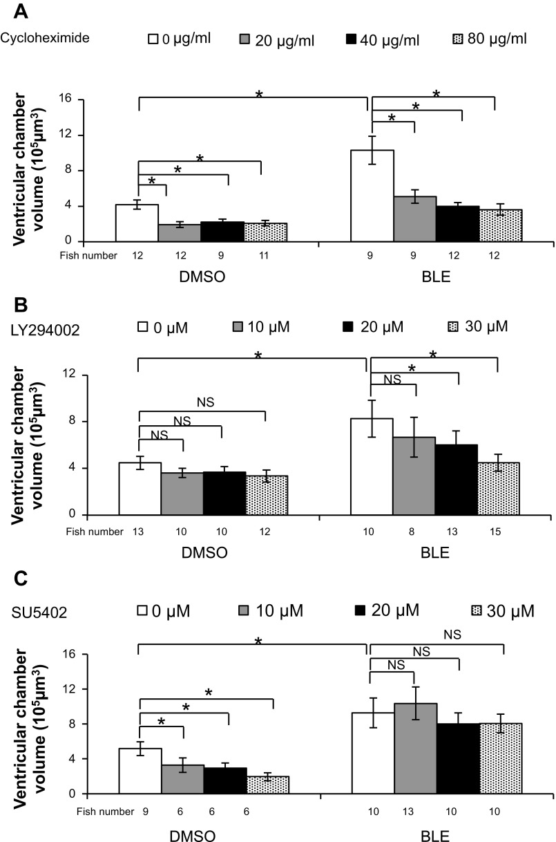 Fig. 10.