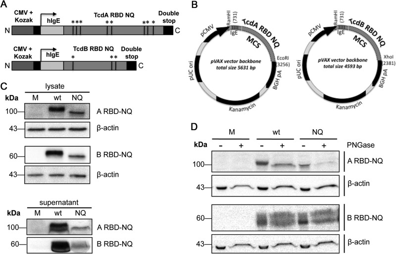 FIG 1