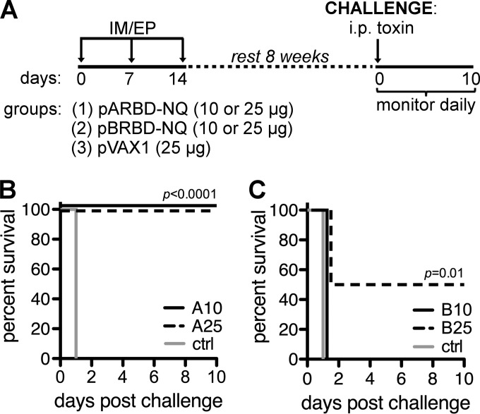 FIG 4