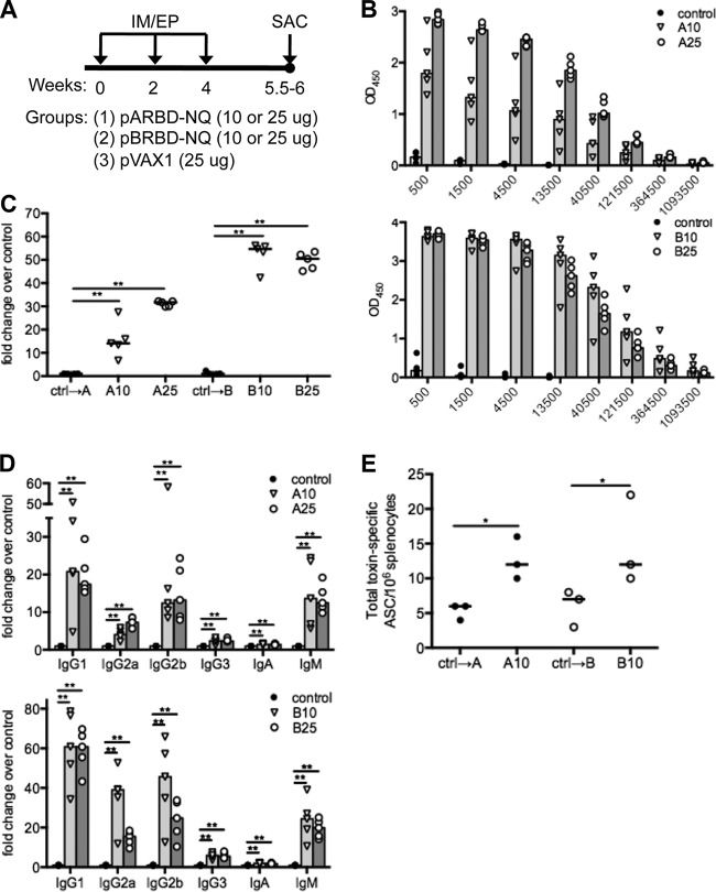 FIG 2